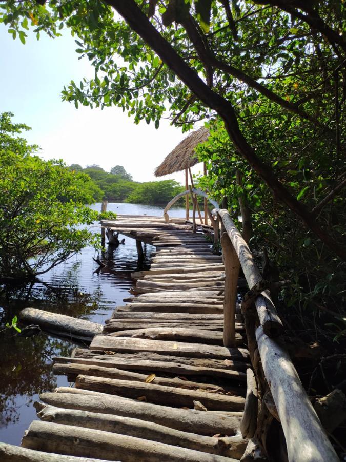 Puerto Limon Sol Y Mar酒店 外观 照片